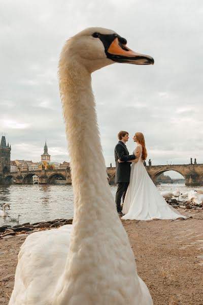 Huwelijksfotograaf Vladimir Kiselev (kiselevph). Foto van 7 november 2019