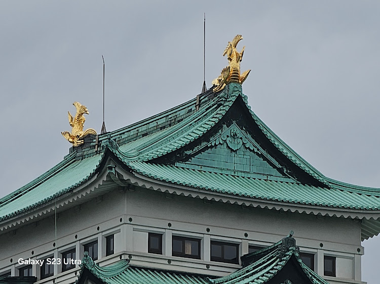 コペンのサクラと愛車・愛車とお城🏯に関するカスタム事例の投稿画像3枚目