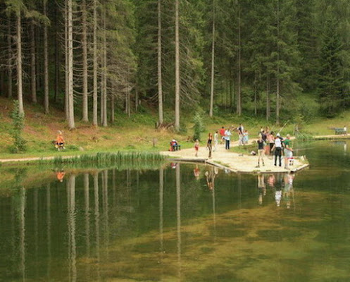 Riflessi e colori di Petruzzo