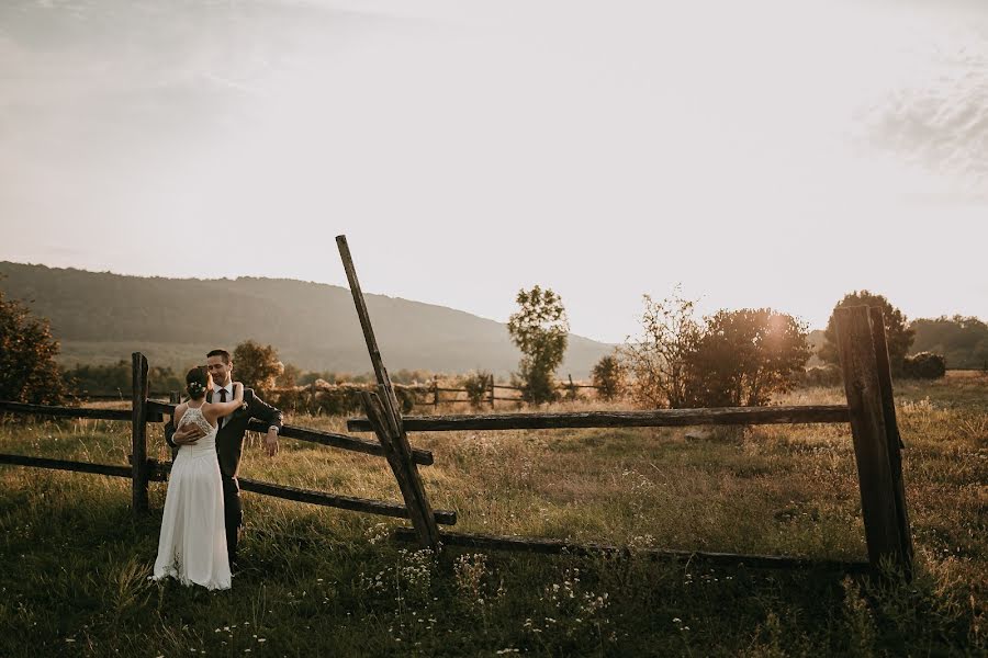 Fotógrafo de casamento Virág Mészáros (awhjs). Foto de 3 de novembro 2019