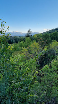 Verde a perdita d'occhio  di Federicop