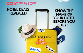 the travel plug website