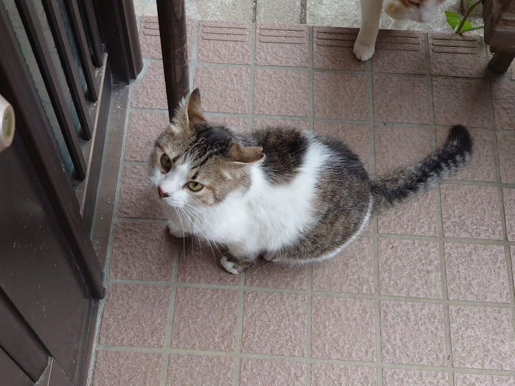 N-ONEのてつやんさんが投稿したカスタム事例の投稿画像5枚目