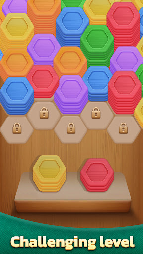 Screenshot Wood Hexa Puzzle