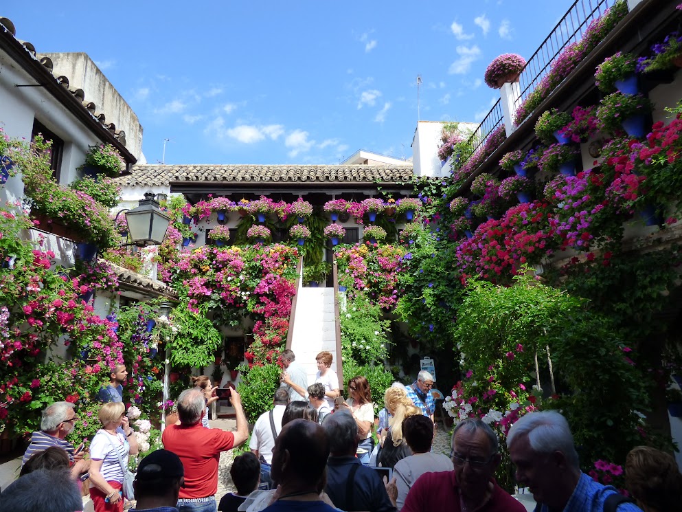 patios fleuris de cordoue