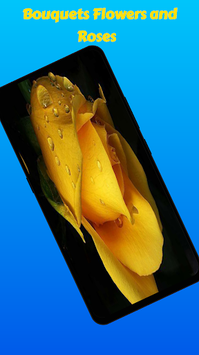 Flowers And Roses Animated Images Gif pictures 4k