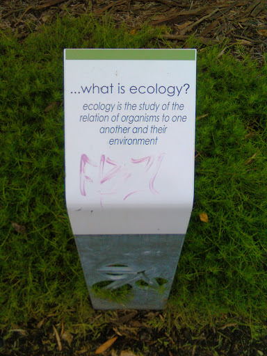 What Is Ecology