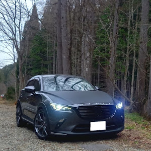 CX-3 DKEFW