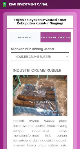 RIC DPMPTSP Provinsi Riau