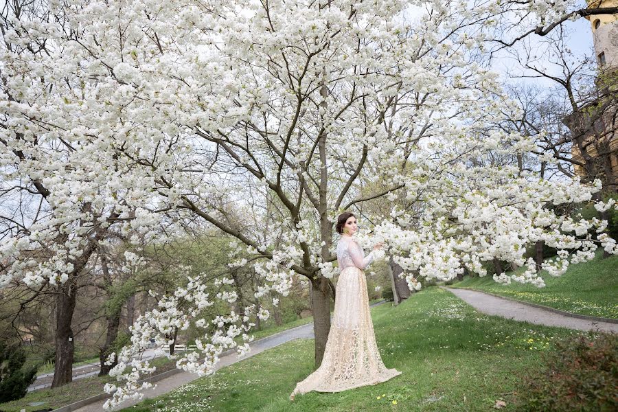 ช่างภาพงานแต่งงาน Elena Vazhenina (weddingprague) ภาพเมื่อ 12 เมษายน 2019