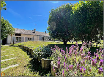 maison à Angouleme (16)