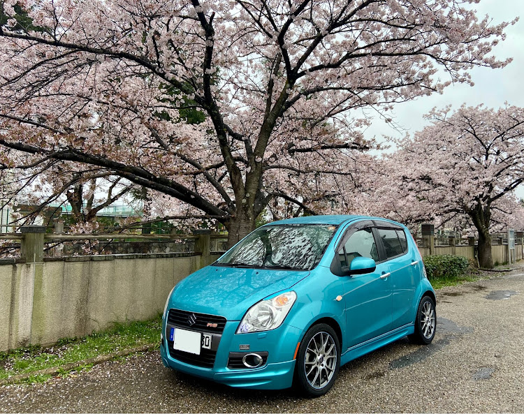 スプラッシュのエンジンオイル交換・息子の車・discover_ct・桜とコラボ🌸・桜とコラボに関するカスタム事例の投稿画像3枚目