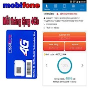 Sim 4G Mobi Sim Dcom Vào Mạng Lướt Web Hơn Cả Tốc Độ Sim Mobi 1 Năm Trọn Gói 48Gb