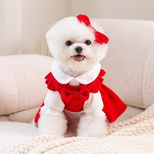 Title 5, Puppy New Year Pet Clothing Celebrate the New Y...