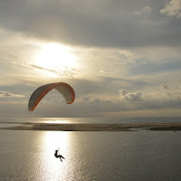 IN VOLO AL TRAMONTO di 