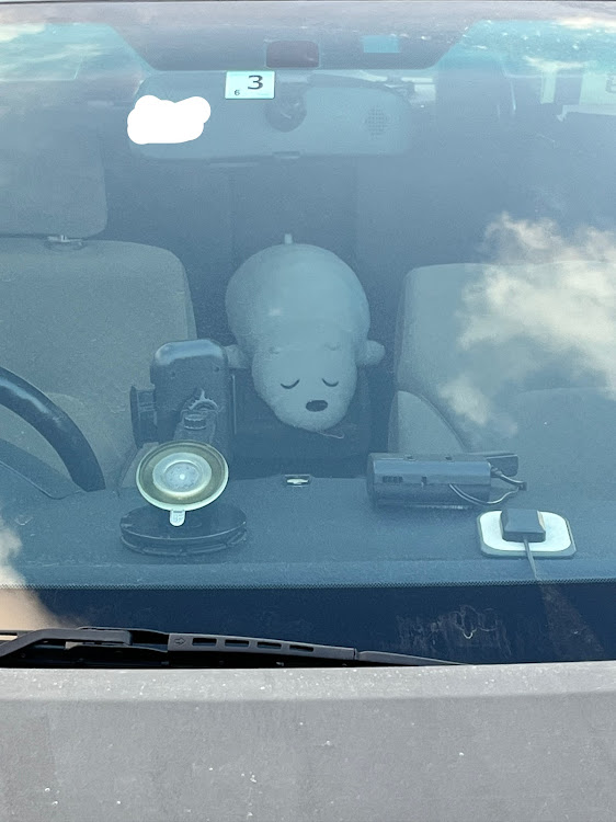 マークXの燃費悪いところ以外最高の車・広域走航隊アルカディア・幸せな１日・後部座席で待機！・シロクマに関するカスタム事例の投稿画像1枚目