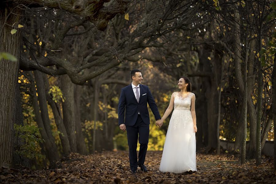 Fotógrafo de casamento Luca Sapienza (lucasapienza). Foto de 5 de novembro 2019