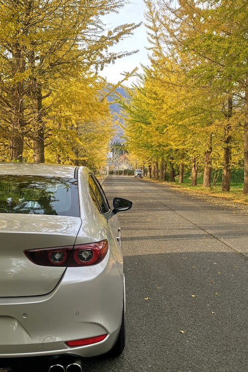 MAZDA3のドライブ・紅葉と愛車・商店街撮影に関するカスタム事例の投稿画像3枚目