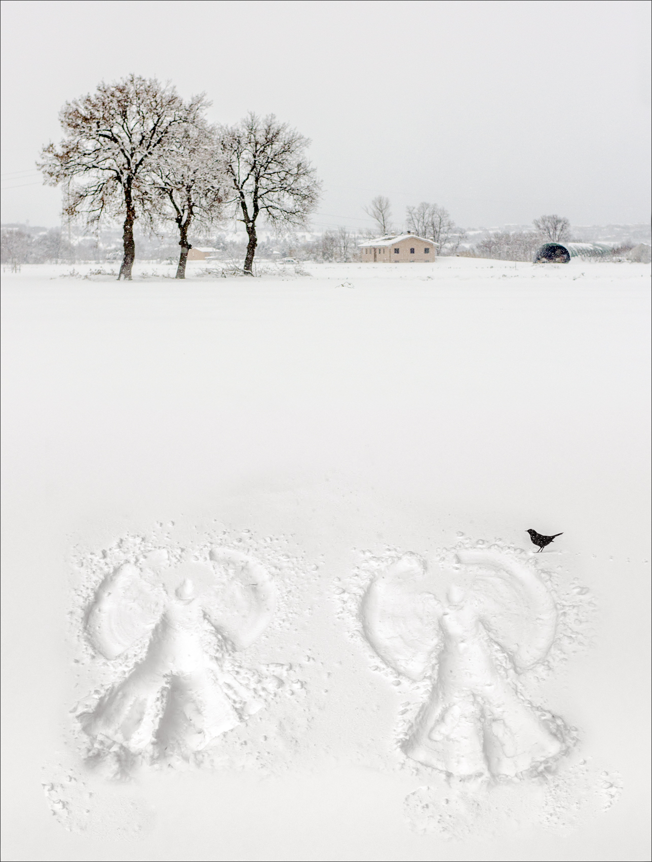 gli angeli della neve di alberto raffaeli