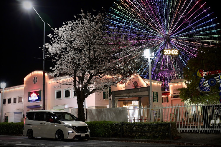 セレナのピックアップチャレンジ・夜桜・サクラと愛車・桜とコラボ・NISMOレッドに関するカスタム事例の投稿画像4枚目