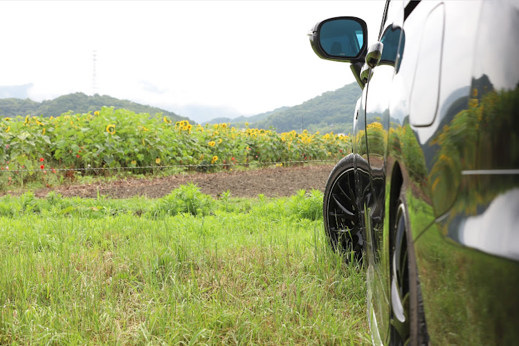 オデッセイの「ヒマワリ」キク目キク科ヒマワリ属・高さ3m程まで成長し夏から秋にかけて大きな黄色の花を咲かせる・花弁は大きく見えるが頭状花序といい無数の花である・和名の由来は陽を追いかけるように回ることから名付けられた・実は太陽を追うのは成長が盛んな時だけであるに関するカスタム事例の投稿画像7枚目