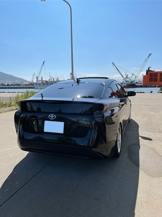 プリウスの天気悪くても洗車w・洗車基地外w・変態ｼｬﾝﾌﾟｰ＆ﾌﾞﾗﾏﾆｺｰﾃｨﾝｸﾞ・ワンコ達の目線が・・・・そして・・・雨が・・・に関するカスタム事例の投稿画像9枚目