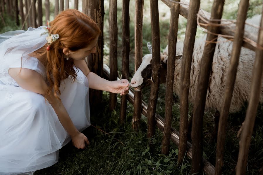 Photographe de mariage Sue Konvalinka (suzannefoto). Photo du 23 septembre 2022