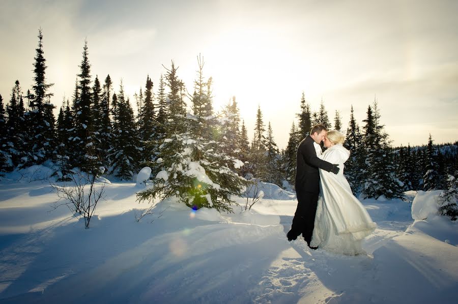 Fotografo di matrimoni Victoria De Martigny (demartigny). Foto del 7 dicembre 2014