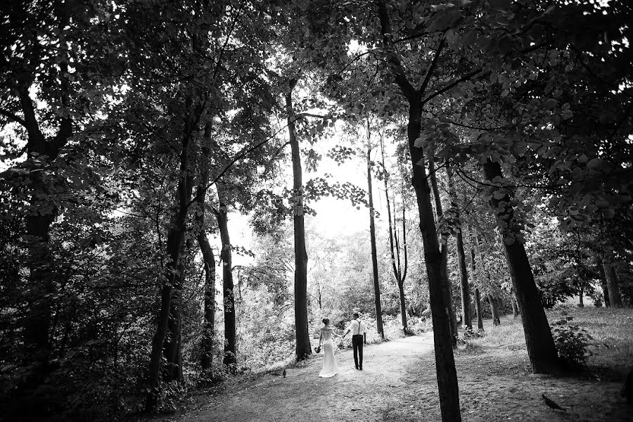 Fotógrafo de bodas Elena Zaschitina (photolenza). Foto del 13 de octubre 2017