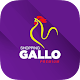 Download Shopping Gallo For PC Windows and Mac 1.0