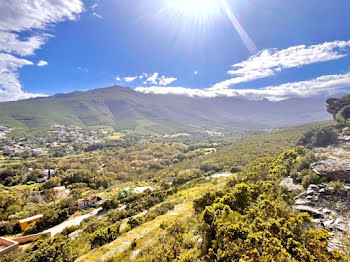 terrain à Sisco (2B)