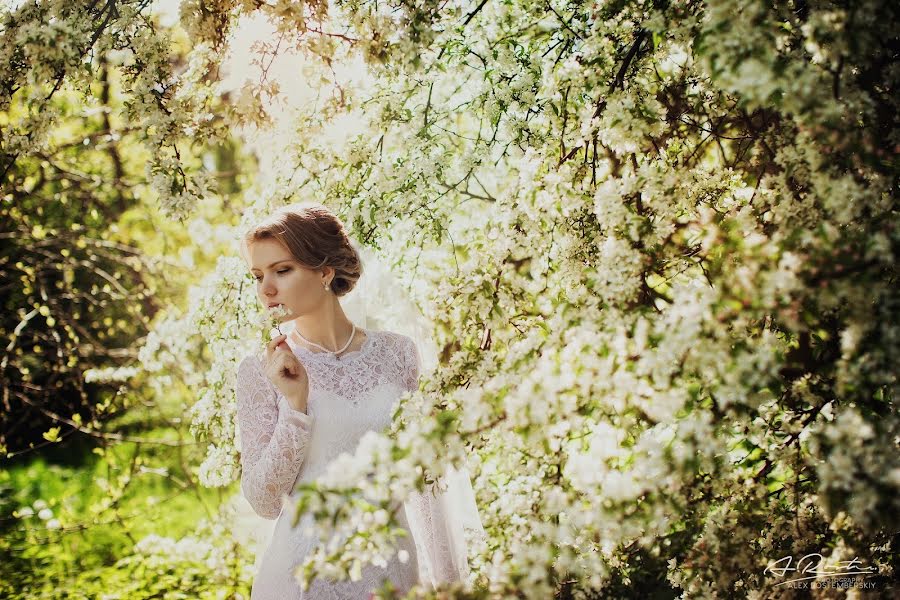 Fotografo di matrimoni Aleksandr Rostemberskiy (alros). Foto del 26 febbraio 2016