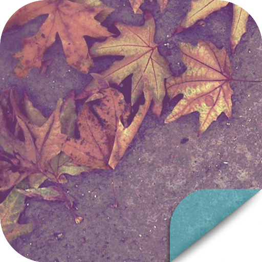 Autumn Maple Leaves theme 個人化 App LOGO-APP開箱王