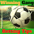 Betting Tips Winning Gang2.0.2