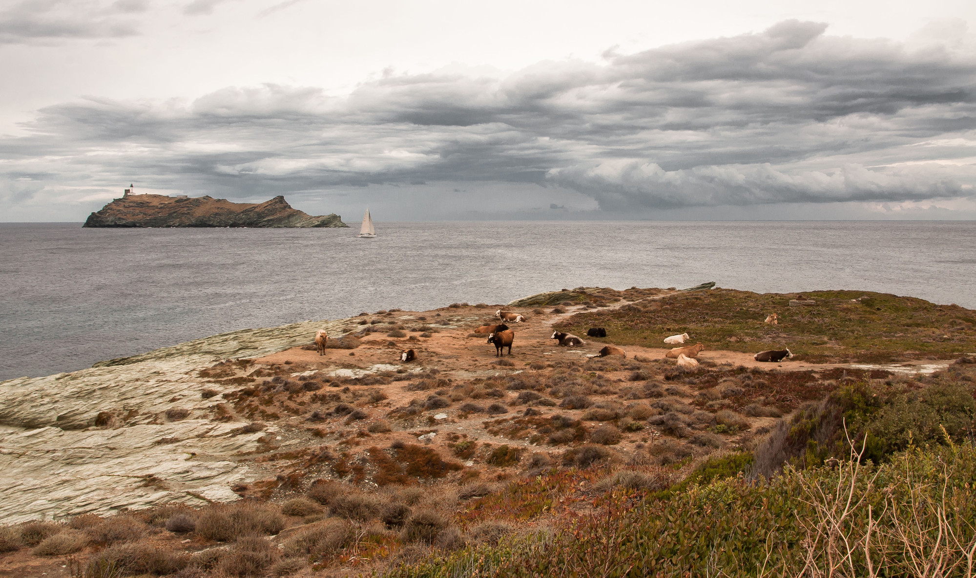 Cap Corse di jandmpianezzo@bluewin.ch