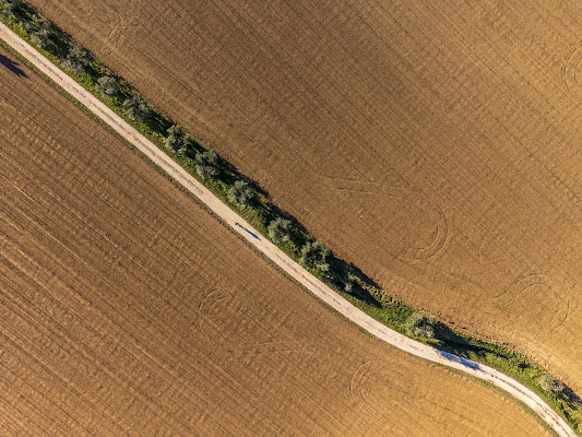 Terra (Manerba del garda) di alessio_terzo