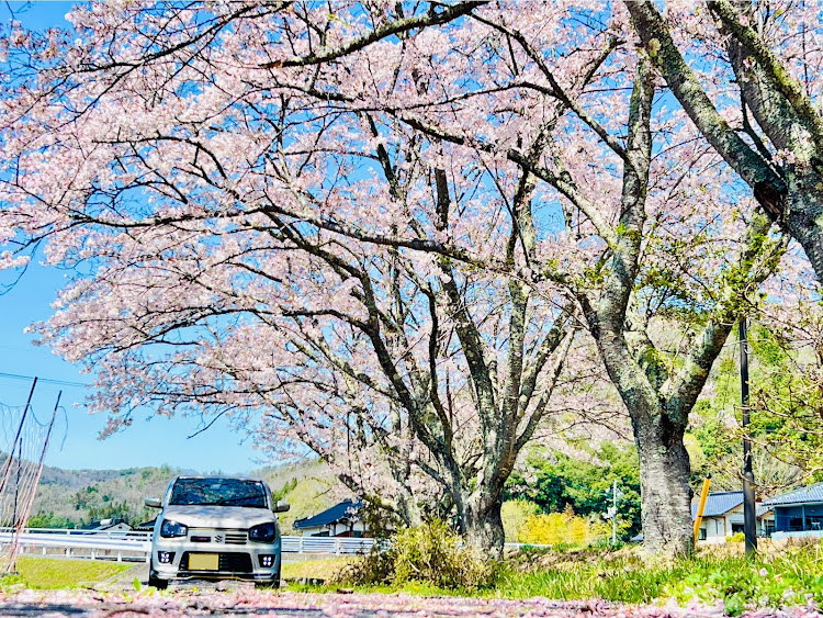 の投稿画像1枚目