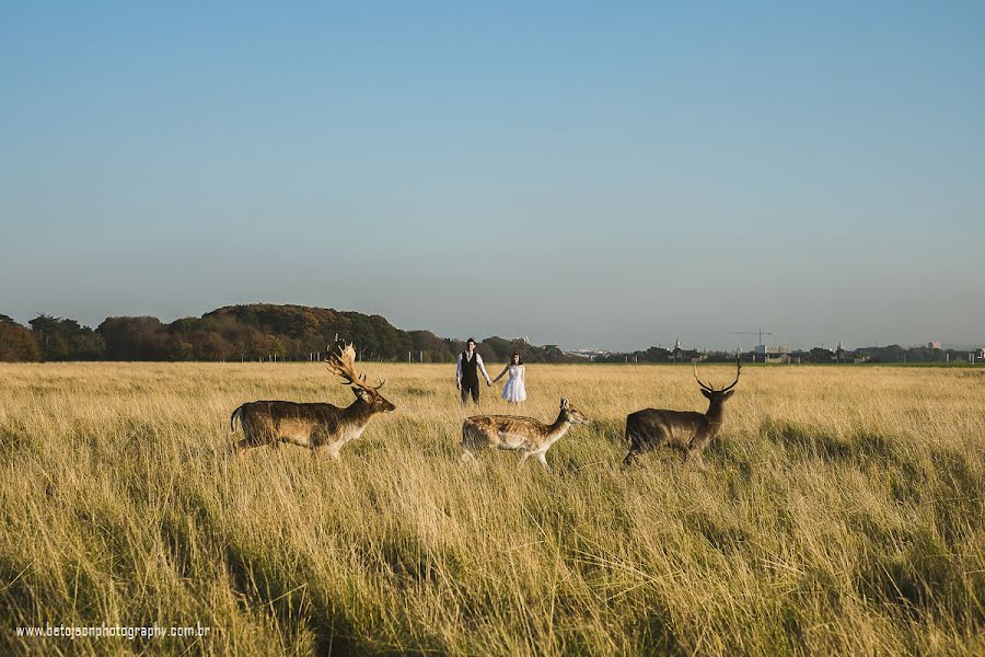 Wedding photographer Beto Jeon (betojeon). Photo of 6 November 2015