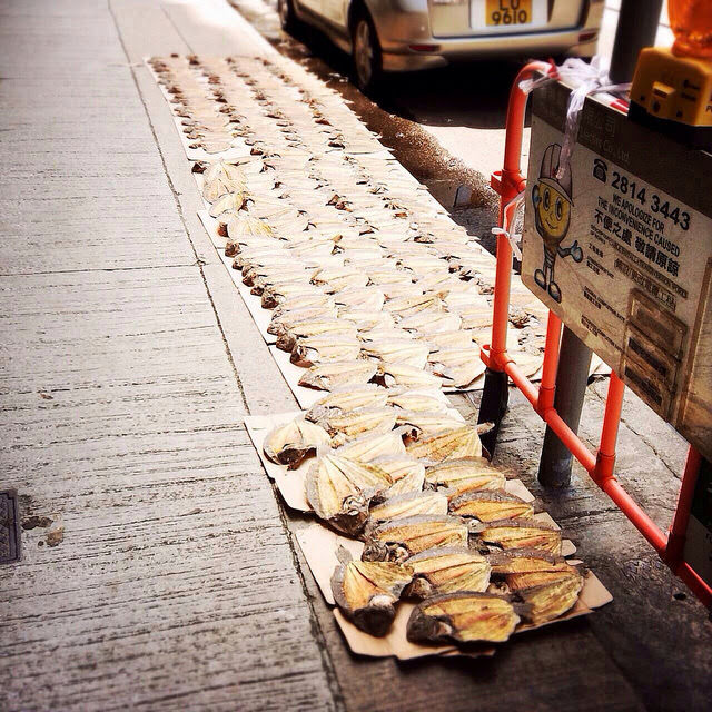 Drying, Fishes, Hong Kong, Street, dried fish, 香港, 街, 曬魚