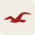 Cover Image of Télécharger Hollister Co. 4.8.0 APK