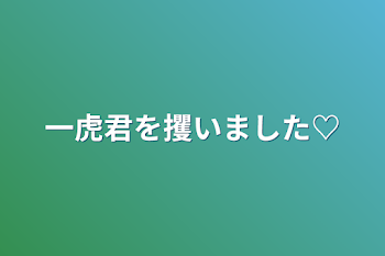 一虎君を攫いました♡