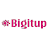 Bigitup Services icon