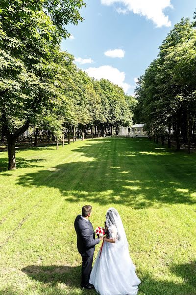 Fotógrafo de casamento Sergey Saenko (saienkofoto). Foto de 24 de julho 2018