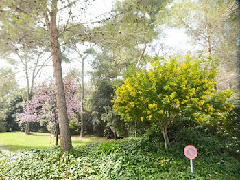 appartement à Cagnes-sur-Mer (06)