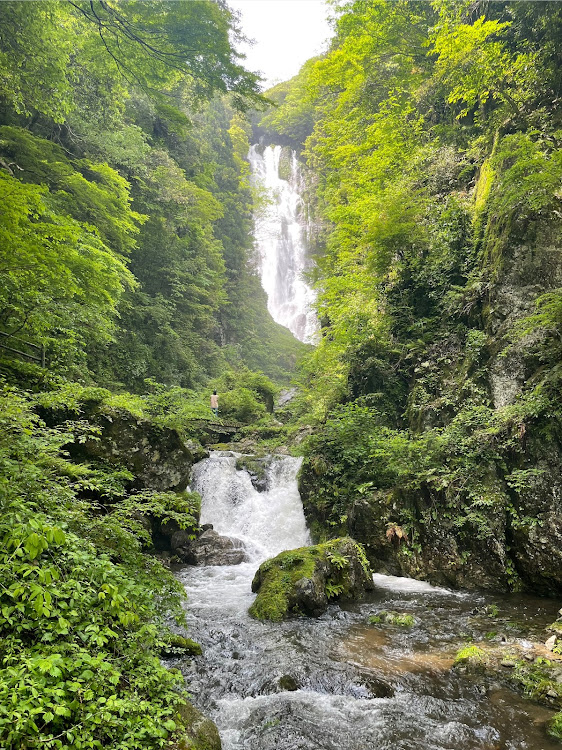 の投稿画像3枚目