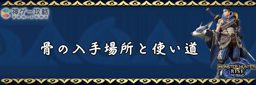 しゅ こう ライズ ざい ちゅう そ