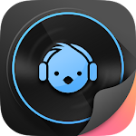 Lark Player Theme - Night Apk