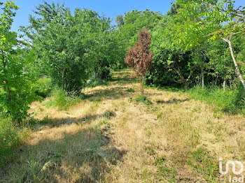 terrain à Ambillou (37)