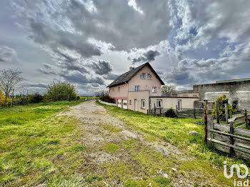 maison à Saint-Hippolyte (68)