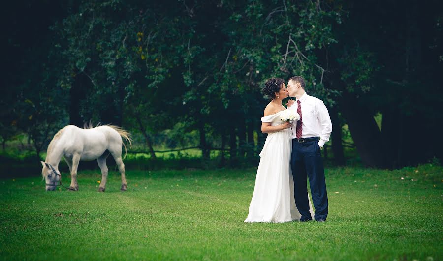 Fotógrafo de bodas Oleg Cherkaschenko (king-studio). Foto del 3 de julio 2014